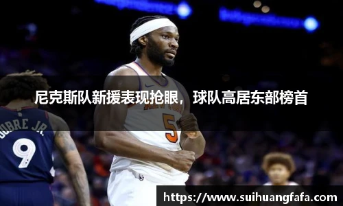 尼克斯队新援表现抢眼，球队高居东部榜首