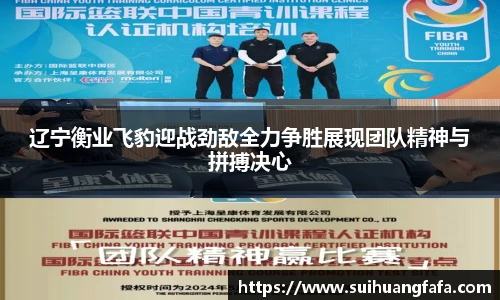 辽宁衡业飞豹迎战劲敌全力争胜展现团队精神与拼搏决心